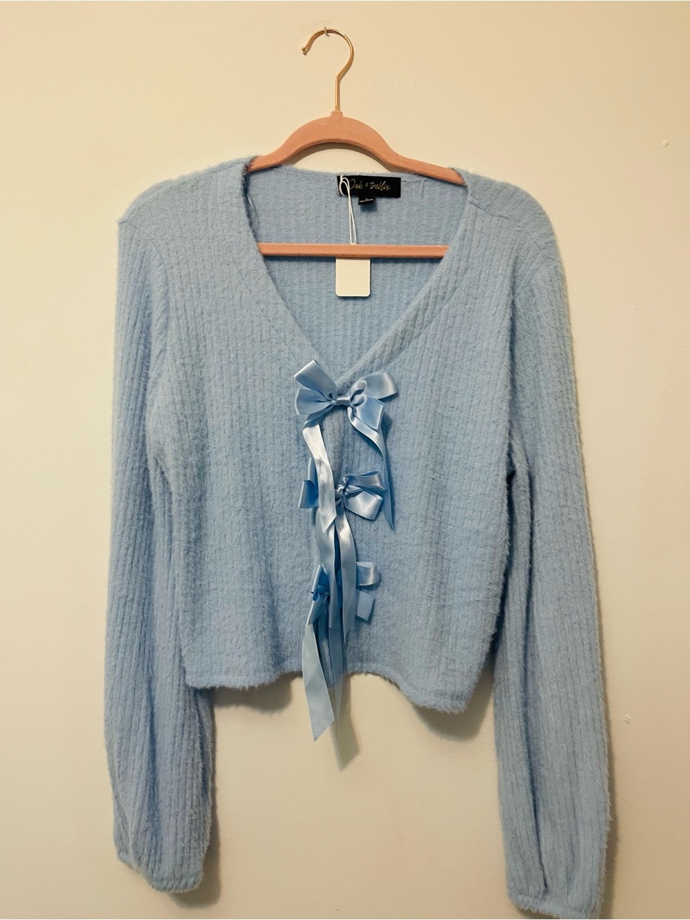 Blue Ribbon-Front V-Neck Sweater